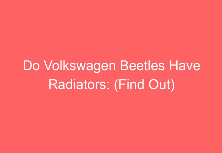 Do Volkswagen Beetles Have Radiators: (Find Out)