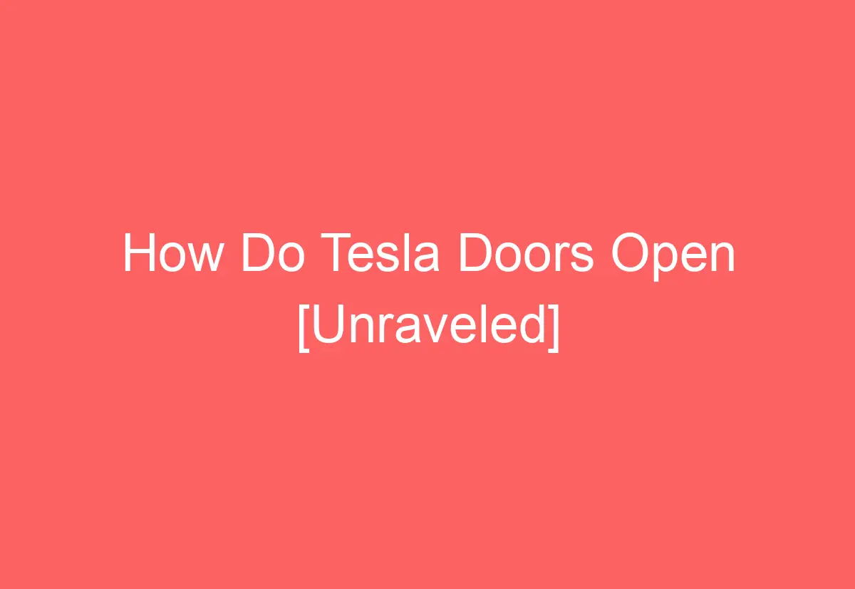 How Do Tesla Doors Open [Unraveled] - AutomotiveGlory