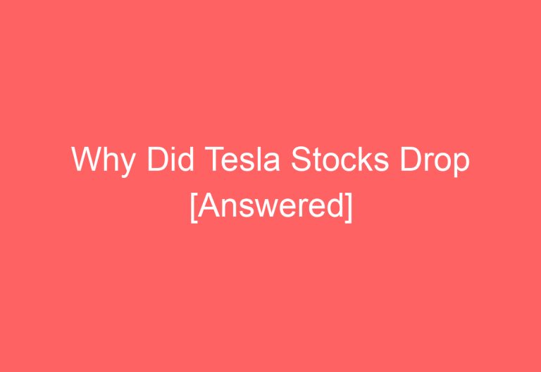 Why Did Tesla Stocks Drop [Answered]