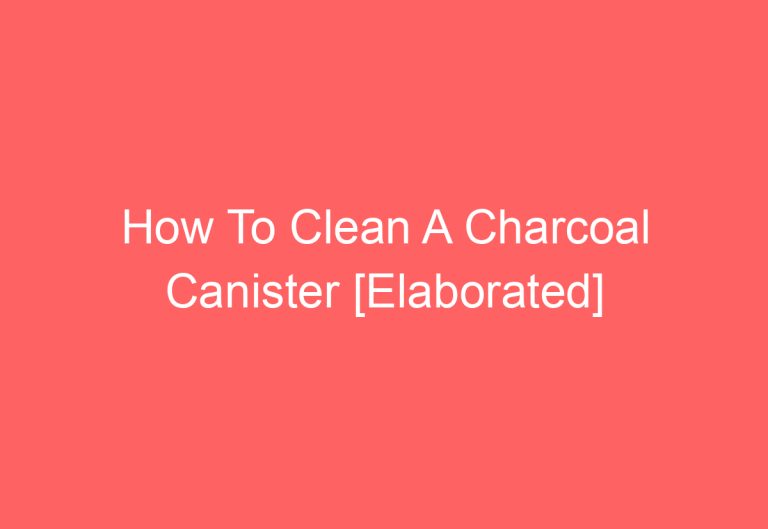 How To Clean A Charcoal Canister [Elaborated]