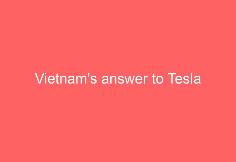 Vietnam’s answer to Tesla