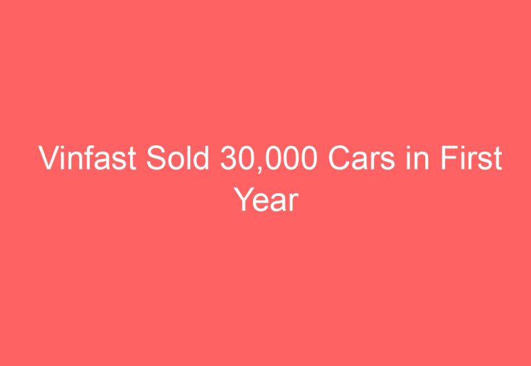 Vinfast Sold 30,000 Cars in First Year